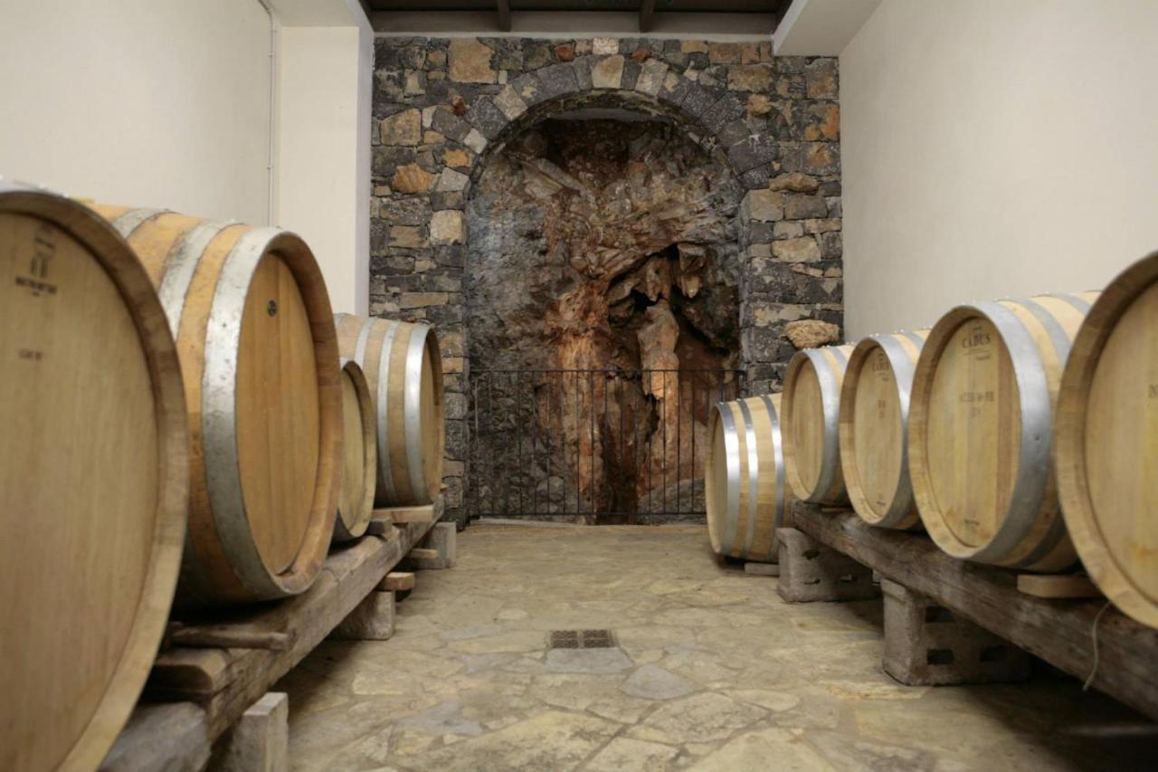 Cardo Boutique&Wine Resort Malchina Exterior foto