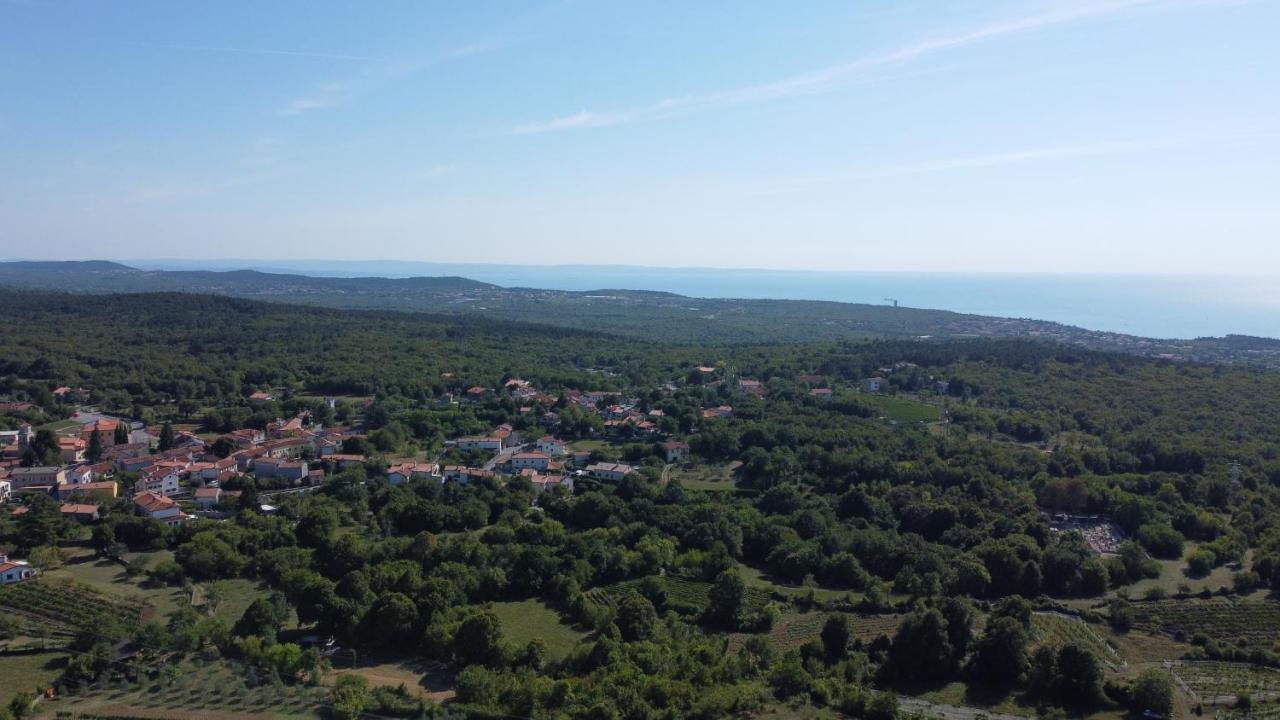 Cardo Boutique&Wine Resort Malchina Exterior foto